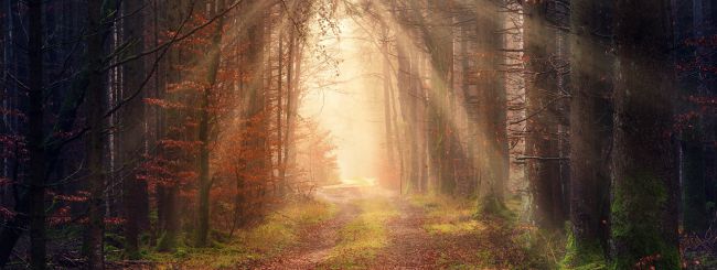 Parshat Tazria-Metzora: Walking the Middle Path