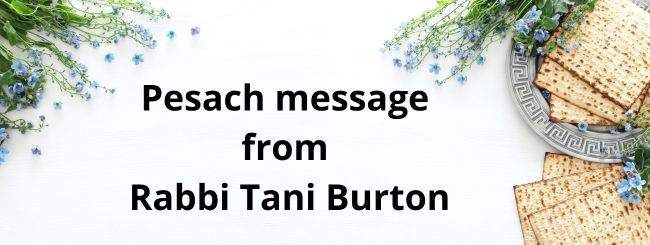 Pesach message from Rabbi Tani Burton 5783