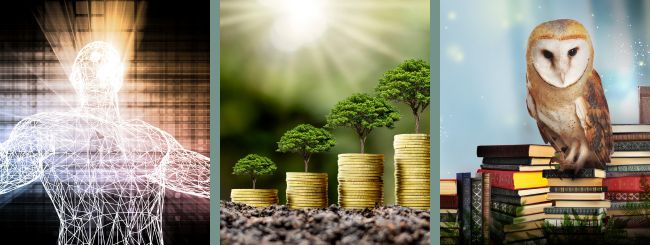 Parshat Emor – Healthy, Wealthy and Wise