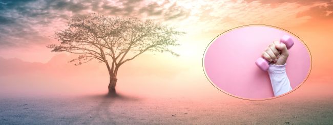 Parshat Bamidbar – Combining the Spiritual with the Physical