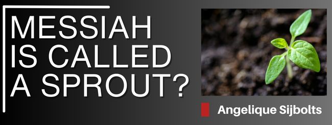 WHY IS THE MESSIAH CALLED A SPROUT?