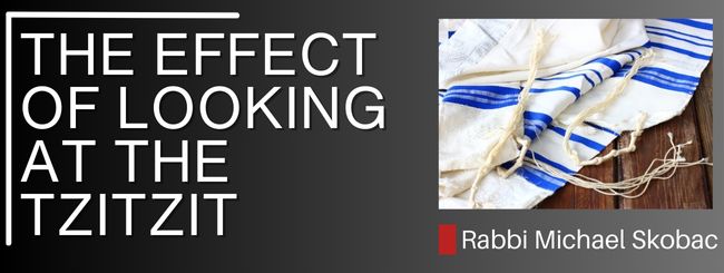 NUMBERS 13:27-28 – THE EFFECT OF LOOKING AT THE TZITZIT