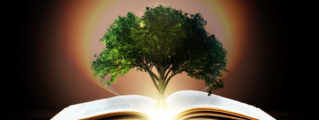Parshat Beha’alotcha – Light