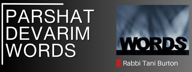 PARSHAT DEVARIM – WORDS