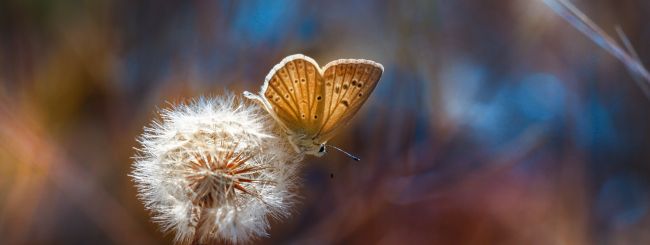Deuteronomy 2:3 – Be Sensitive