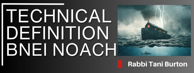 THE TECHNICAL DEFINITION OF A BEN NAOCH