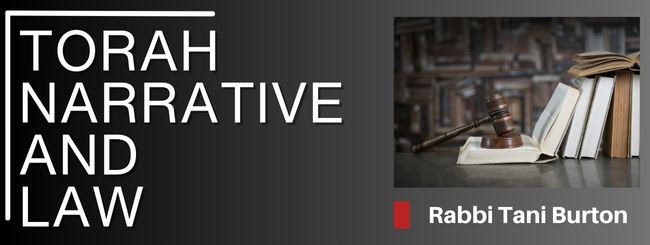 TORAH NARRATIVE AND LAW