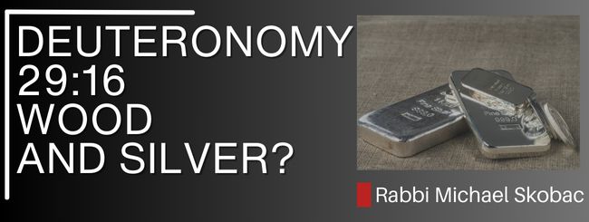 DEUTERONOMY 29:16 – WOOD AND SILVER?