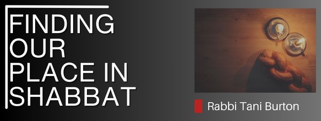 PARSHAT NOACH 5784: FINDING OUR PLACE IN SHABBAT