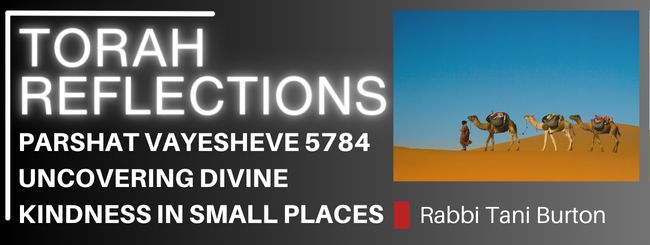 PARSHAT VAYESHEV 5784: UNCOVERING DIVINE KINDNESS IN SMALL PLACES