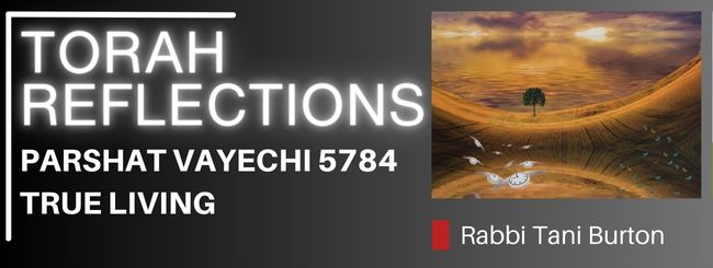 PARSHAT VAYECHI 5784 – TRUE LIVING