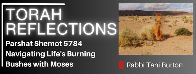 PARSHAT SHEMOT 5784 – EMPATHIC LEADERSHIP – NAVIGATING LIFE’S BURNING BUSHES WITH MOSES