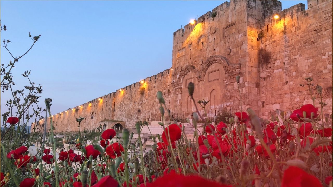 EXAMINATION: NEW TESTAMENT PROPHECY IN HEBREW BIBLE LIGHT