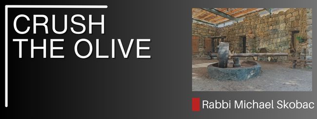 EXODUS 27:20 – CRUSH THE OLIVE