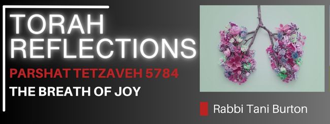 PARSHAT TETZAVEH 5784 – THE BREATH OF JOY
