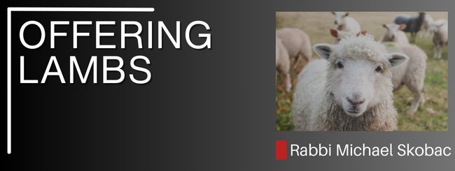 EXODUS 29:39 – OFFERING LAMBS