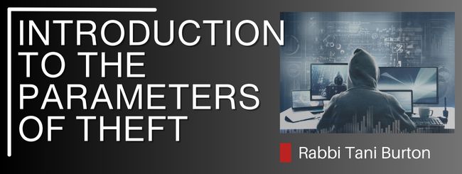INTRODUCTION TO THE PARAMETERS OF THEFT