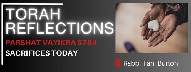 PARSHAT VAYIKRA 5784 – SACRIFICES TODAY