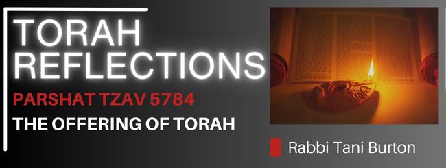 PARSHAT TZAV 5784 – THE OFFERING OF TORAH