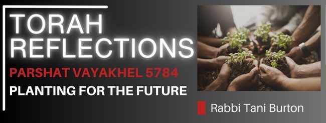 PARSHAT VAYAKHEL 5784 – PLANTING FOR THE FUTURE