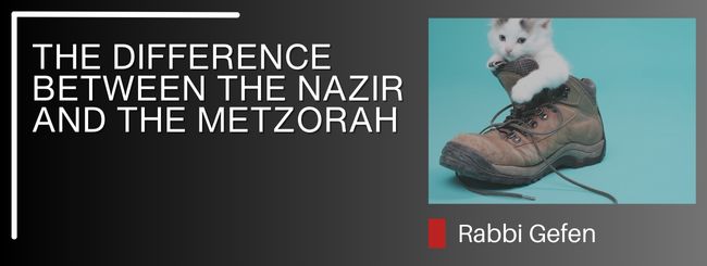 PARSHAT METZORAH: THE DIFFERENCE BETWEEN THE NAZIR AND THE METZORAH