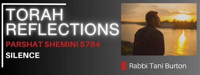 PARSHAT SHEMINI 5784: SILENCE