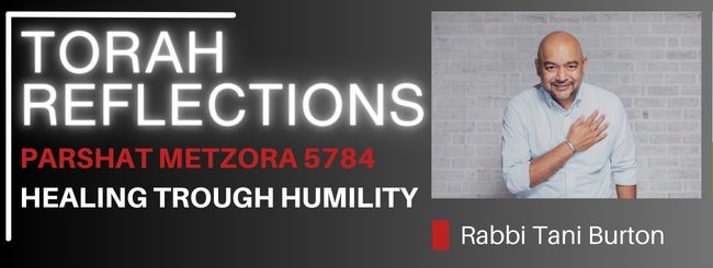 PARSHAT METZORA 5784 – HEALING TROUGH HUMILITY