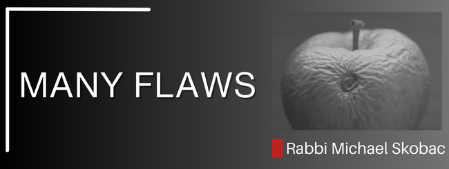 LEVITICUS 22:18 – BLEMISH