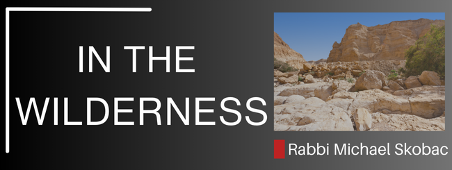 Numbers 1:1 – IN THE WILDERNESS