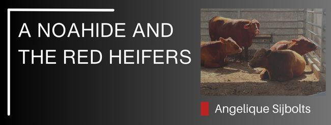 CARETAKER OF THE RED HEIFERS