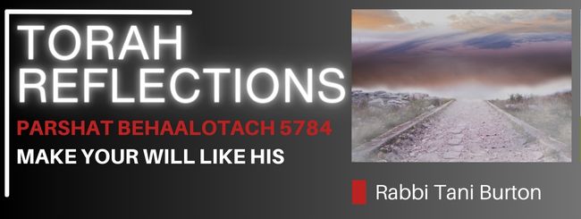 PARSHAT BEHAALOTACH 5784 – MAKE YOUR WILL LIKE HIS