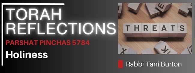 PARSHAT PINCHAS 5784- HOLINESS