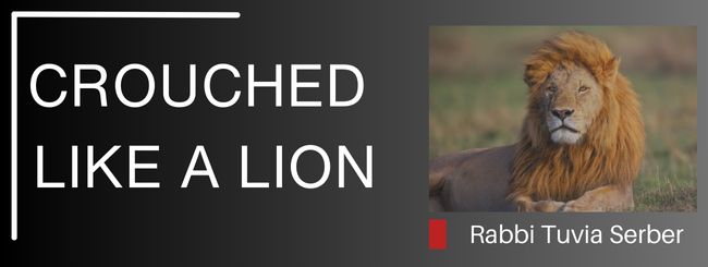 PARSHAT BALAK 5784 – CROUCHED LIKE A LION