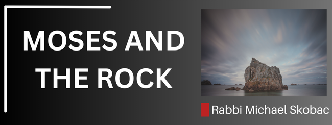 MOSES AND THE ROCK: California Dreaming