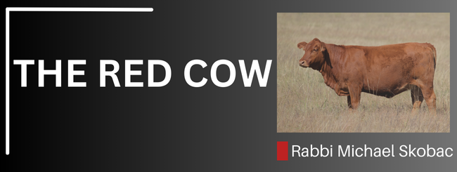 NUMBERS 19:2 – THE RED COW