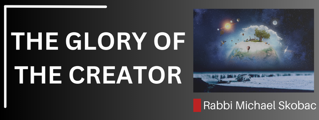 THE GLORY OF THE CREATOR