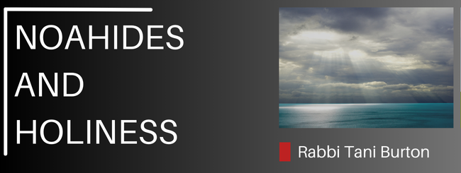 NOAHIDES AND HOLINESS