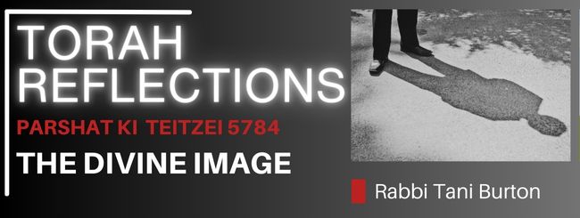 PARSHAT KI TEITZEI 5784 – THE DIVINE IMAGE