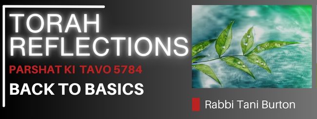 PARSHAT KI TAVO 5784 – BACK TO BASICS