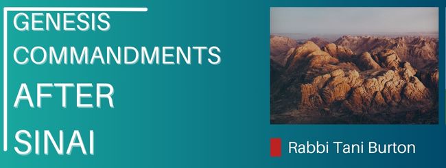 GENESIS COMMANDMENTS AFTER SINAI