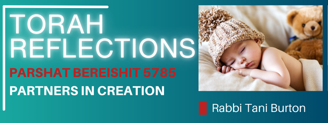 PARSHAT BEREISHIT 5785 – PARTNERS IN CREATION