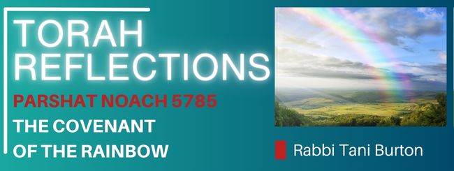 PARSHAT NOACH 5785 – THE COVENANT OF THE RAINBOW