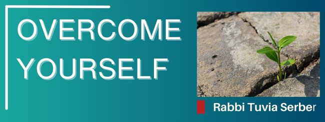 PARSHAT TOLDOT – OVERCOME YOURSELF