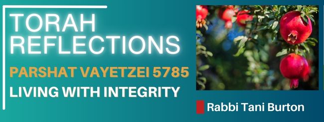 PARSHAT VAYETZE 5785 – LIVING WITH INTEGRITY