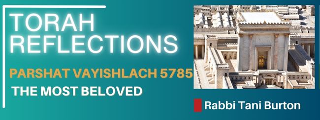 PARSHAT VAYISHLACH 5785 – THE MOST BELOVED