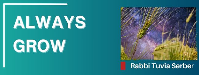 PARSHAT MIKETZ 5785 – ALWAYS GROW