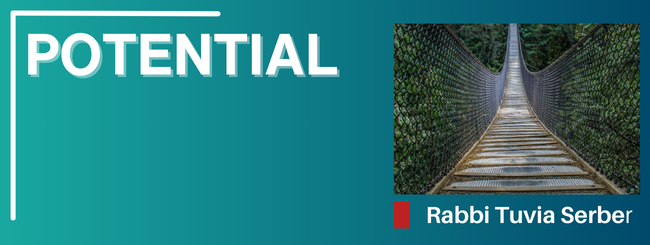 PARASHAT VAYECHI 5785- POTENTIAL