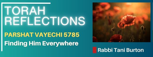 PARSHAT VAYECHI 5785 – FINDING HIM EVERYWHERE
