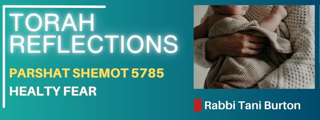 PARSHAT SHEMOT 5785 – HEALTY FEAR