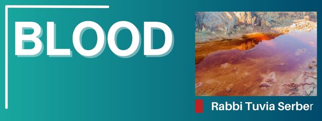 PARSHAT VA’EIRA 5785 – BLOOD